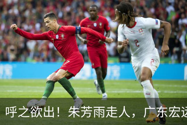 呼之欲出！朱芳雨走人，广东宏远“新掌门人”大概率在此三人产生