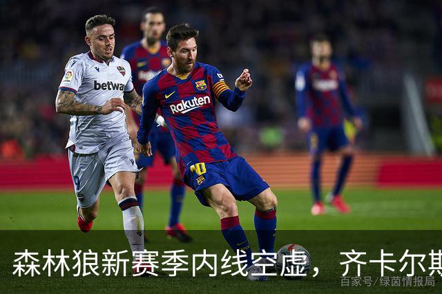 森林狼新赛季内线空虚，齐卡尔斯基需要抓住机会